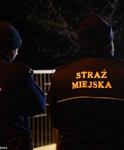 Straż miejska zaprosiła kierowcę "na film". Słono zapłacił za "seans"