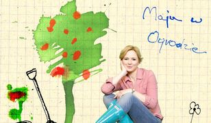 TVN Meteo: nowoczesne studio wirtualne na wiosnę