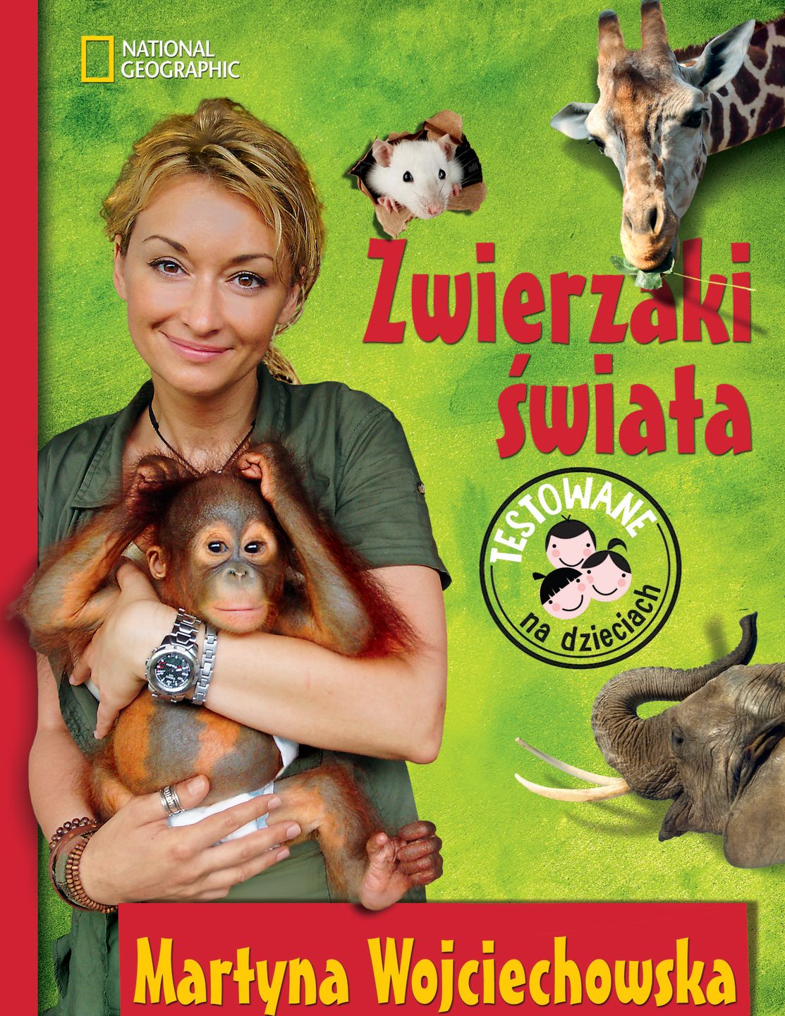Obraz