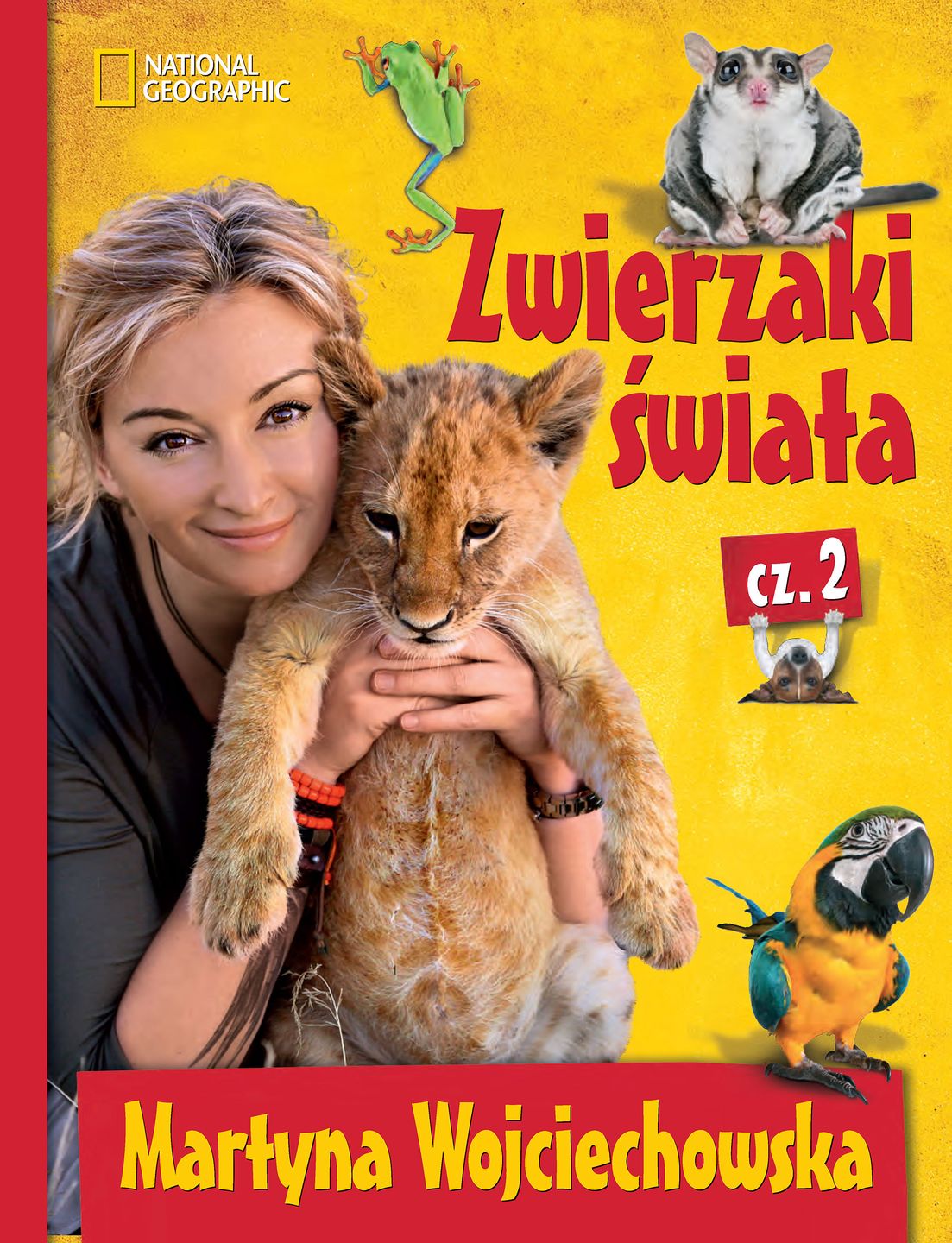 Obraz