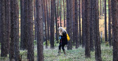 Grzyby warte fortunę pojawiły się w Polsce. Mało kto je zbiera, a kosztują nawet 2 tys. euro