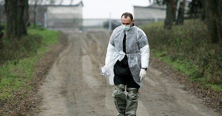 Mazowsze: po indykach - ptasia grypa u kur