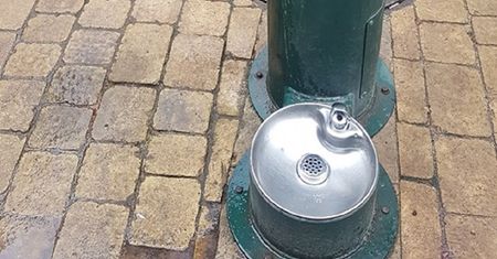 Warszawa. Szkło i trucizna w miskach z wodą dla psów
