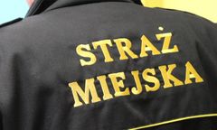 Martwy kot leżał przy drzewie. Ktoś go przywiązał taśmą