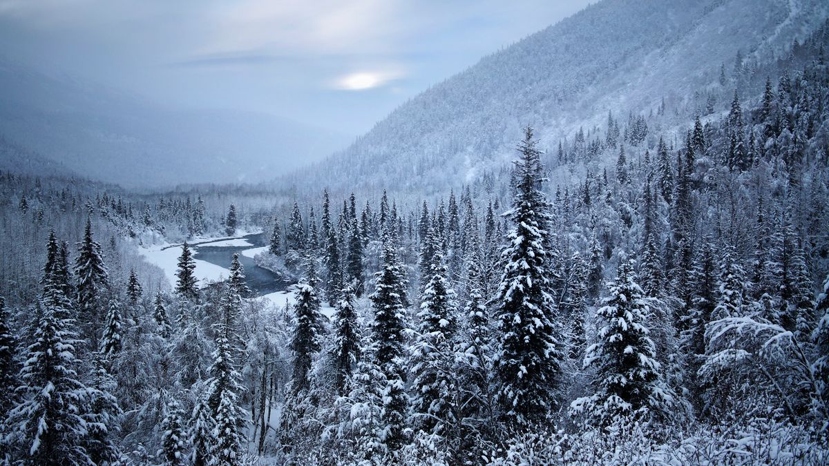 Where Santa Claus Must Live, Kenai Peninsula, Alaska