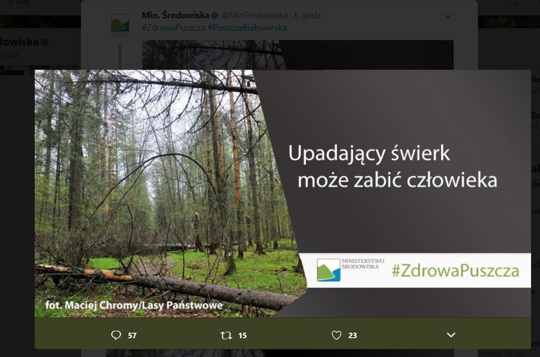 "Świerk może zabić". Akcja ministerstwa