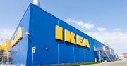 IKEA będzie wytwarzać więcej energii niż sama zużywa. Jeszcze w tym roku