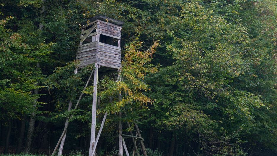 Myśliwi określają zakaz polowań dla nieletnich jako "niezrozumiały"