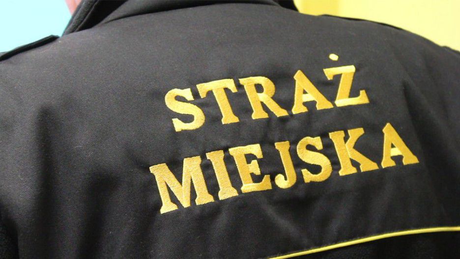 Straż miejska zabezpieczyła martwego kota taśmą