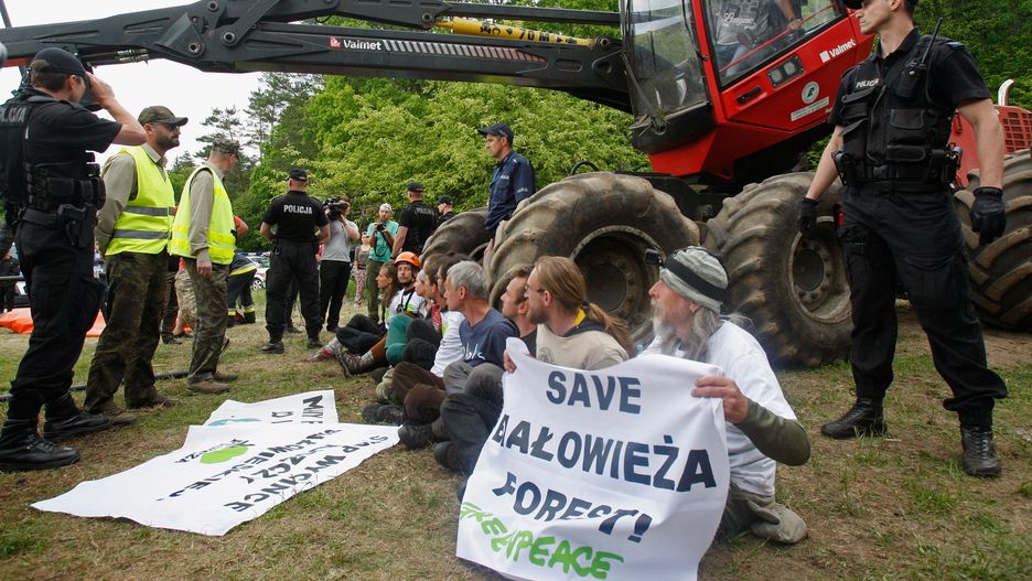 Złowrogie kombajny leśne opuszczą Puszczę Białowieską.