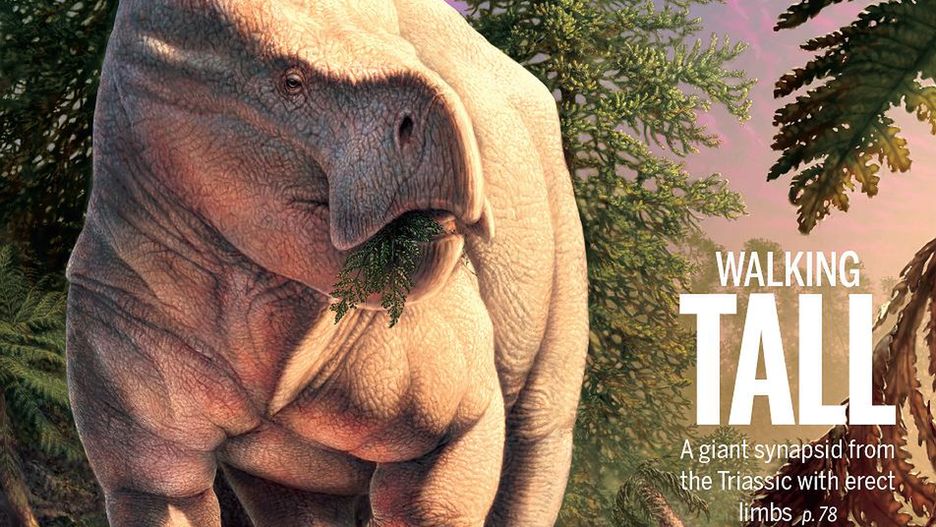 Lisowicia bojani, gad, którego szczątki odkryli polscy paleontolodzy