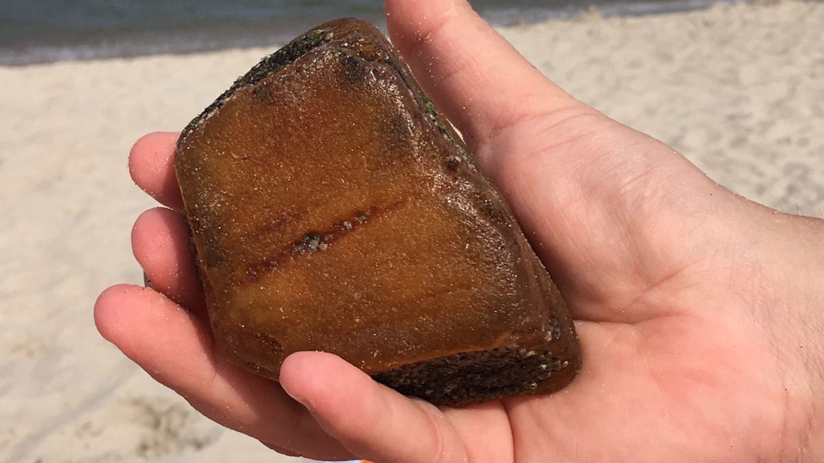 jastarnia bursztyn skarb wakacje