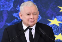 Ostatnie badanie przed wyborami. Polacy zdecydowali [MAMY WYNIKI]