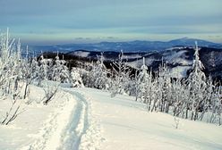 Beskid Śląski. Tragiczny finał akcji poszukiwawczej, nie żyje 19-letni turysta