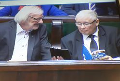 Znów głośno o kotach Jarosława Kaczyńskiego. "Dostawa do domu"