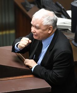 Stefan Niesiołowski o prezesie PiS: zwariował