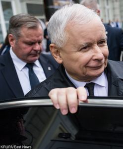 Najnowszy sondaż. Dwukrotna przewaga PiS nad PO