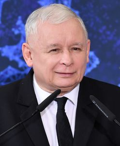 Ostatnie badanie przed wyborami. Polacy zdecydowali [MAMY WYNIKI]