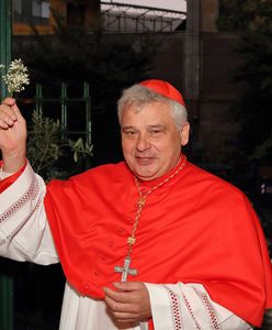 Polski kardynał "Robin Hoodem papieża". Złamał prawo, by pomóc ubogim