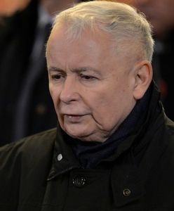 Grzegorz Wysocki: Kaczyński znalazł "wyjaśnienie". Niebezpieczne praktyki zaklinania "brunatnej" rzeczywistości