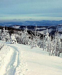 Beskid Śląski. Tragiczny finał akcji poszukiwawczej, nie żyje 19-letni turysta