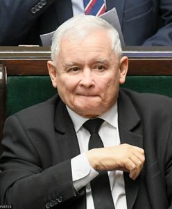 Sondaż poparcia partii politycznych. PiS dużo traci, KO w górę