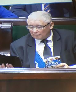 Znów głośno o kotach Jarosława Kaczyńskiego. "Dostawa do domu"