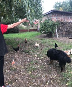 Przesłuchanie Janusza Wojciechowskiego w PE. Byliśmy w jego rodzinnej wsi. "Nasz chłop komisarzem!"