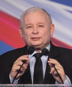 Wybory parlamentarne 2019. PiS z samodzielnym rządem, cztery partie w Sejmie