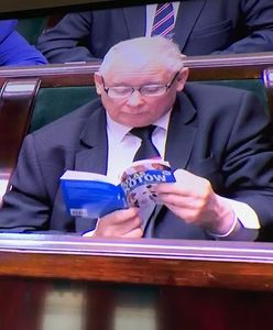 "To niebywałe chamstwo". Ostry komentarz ws. atlasu kotów prezesa Kaczyńskiego