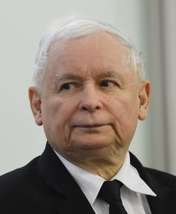 Jarosław Kaczyński o sprawie senatora Koguta: nie ma przywilejów