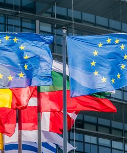 Wybory do Parlamentu Europejskiego 2019. Bydgoszcz i Toruń – okręgi i listy wyborcze, kandydaci