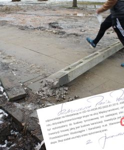 Praga-Południe. Słup-pułapka w parku. Zaskakujące tłumaczenie burmistrza