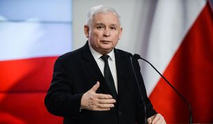 Działacze PiS wpadli w panikę. Kaczyński nie wie, co czyni i odrywa ich od konfitur