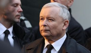 Sondaż. Ponad 70 proc. dla dwóch komitetów