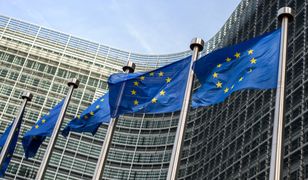 Wybory do Parlamentu Europejskiego 2019. Łódź – okręgi i listy wyborcze, kandydaci