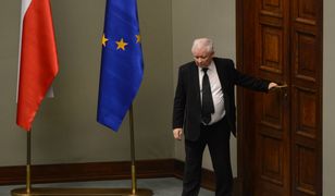 PiS o krok od ośmiorniczek. Lawina aferek może przysypać Dobrą Zmianę