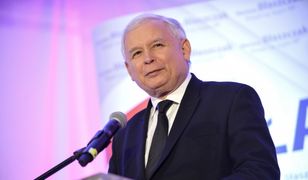 Niepełnosprawny rząd. PiS straciło kontrolę. „Tylko Kaczyński może to uratować”