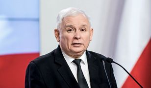 Sondażowa schizofrenia. 17 proc. różnicy w poparciu dla PiS
