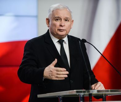 Działacze PiS wpadli w panikę. Kaczyński nie wie, co czyni i odrywa ich od konfitur