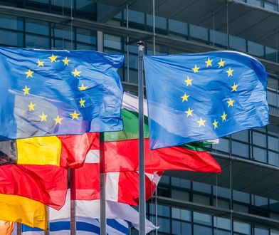 Wybory do Parlamentu Europejskiego 2019. Bydgoszcz i Toruń – okręgi i listy wyborcze, kandydaci