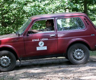 Straż leśna: jakie prawa ma względem kierowców?