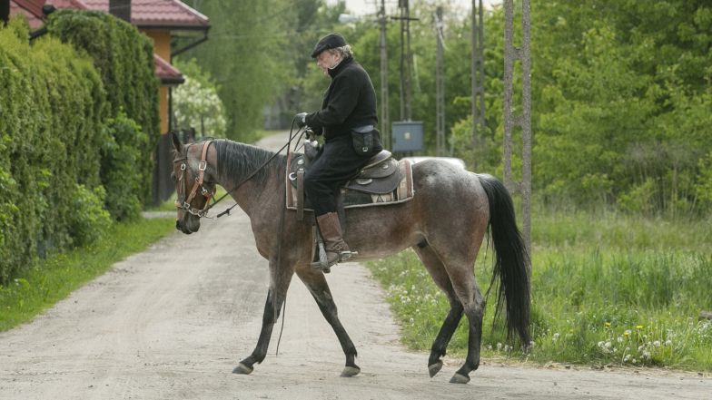 Obraz