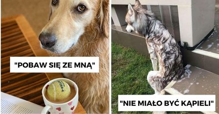 20 uroczych piesków, które każdy poniedziałek uczynią przyjemniejszym