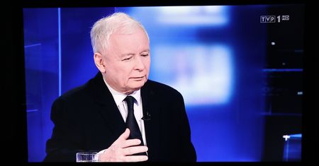 Wybory do europarlamentu 2019. Raport ws. "Wiadomości" TVP pozbawia złudzeń