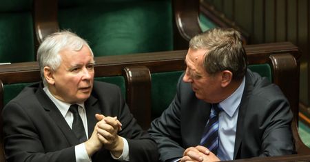 To Jarosław Kaczyński uratował łosie. Prezes PiS wstrzymał decyzję Jana Szyszki