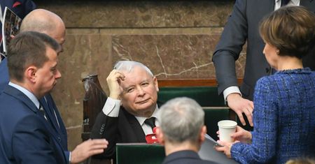 Najnowsze badanie. Spora przewaga PiS, Konfederacja jak PSL