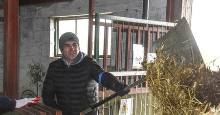 Uderzy nie tylko we właścicieli zwierząt. Dorociński apeluje o zatrzymanie nowelizacji