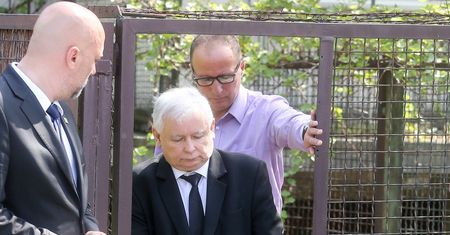Polacy nie chcą, by politycy mieli lepszą opiekę zdrowotną. Mają Kaczyńskiemu za złe sytuację z kulami