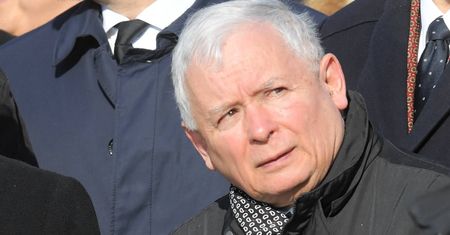 PiS powinno się obawiać Konfederacji? Rośnie nowa siła na prawicy